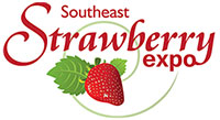 Strawberry Expo Logo