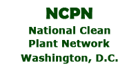 NCPN is proud to sponsor the North American Strawberry Growers Association.