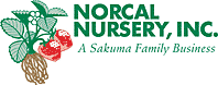 Norcal Nursery is proud to sponsor the North American Strawberry Growers Association.