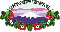 Lassen Canyon is proud to sponsor the North American Strawberry Growers Association.