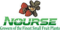 Nourse Farms