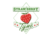 Strawberry Tyme