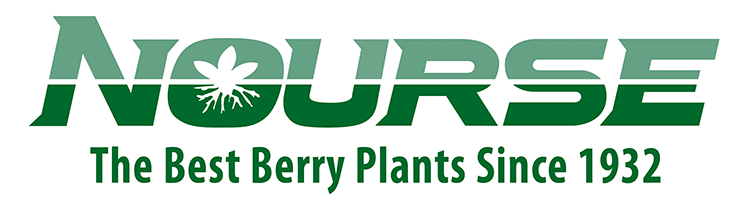 Nourse is a proud to sponsor the North American Strawberry Growers Association.
